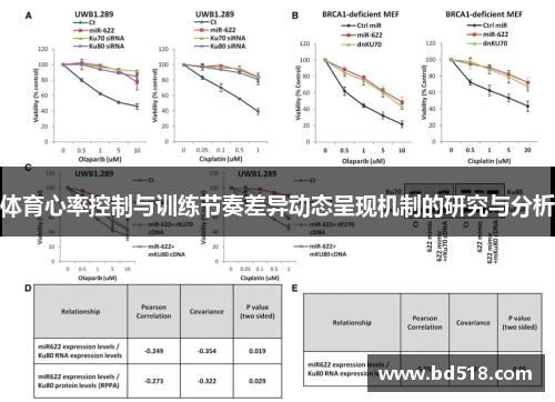 体育心率控制与训练节奏差异动态呈现机制的研究与分析